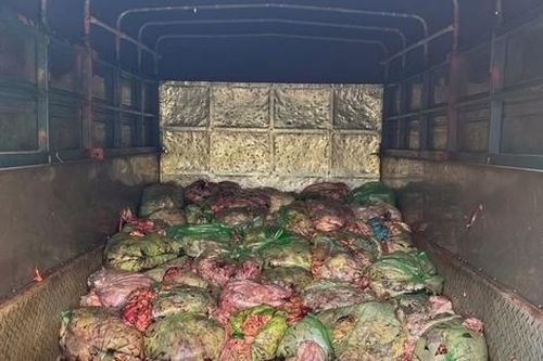 Phát hiện xe tải chở 1,3 tấn nội tạng không rõ nguồn gốc