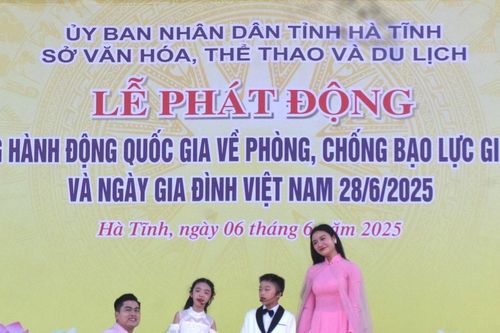 Hà Tĩnh phát động Tháng hành động quốc gia về phòng, chống bạo lực gia đình năm 2025