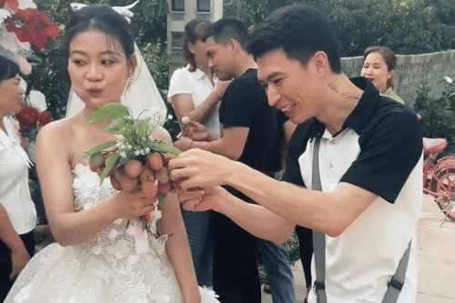 Quên hoa cưới, cô dâu Bắc Giang hái vải từ vườn nhà chú rể 'chữa cháy'
