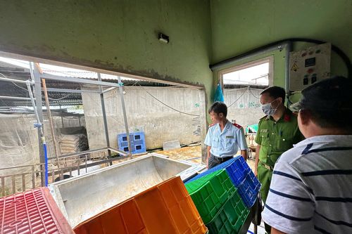 Chủ tịch Hậu Giang chỉ đạo 'nóng' sau vụ C.P bị tố bán heo bệnh