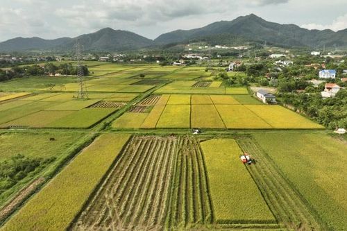 Câu chuyện của khói...