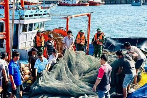 Hà Tĩnh: bắt giữ 3 tàu cá đánh bắt hải sản sai quy định
