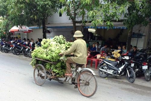 Lao động oằn mình mưu sinh trong 'chảo lửa' xứ Nghệ