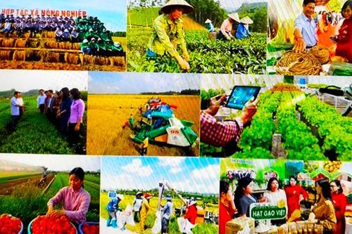 Kiện toàn tổ chức và hoạt động của Quỹ Hỗ trợ nông dân Trung ương