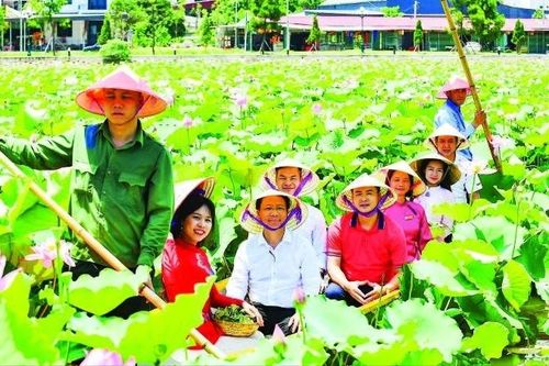 Liên kết du lịch vì phát triển bền vững