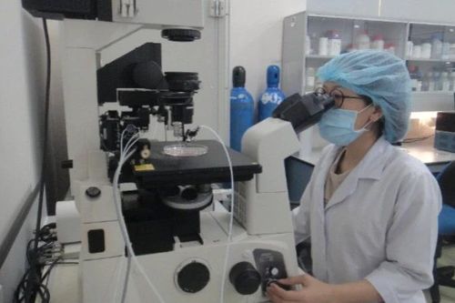 Hơn 20 nhà khoa học trúng tuyển Chương trình VNU350