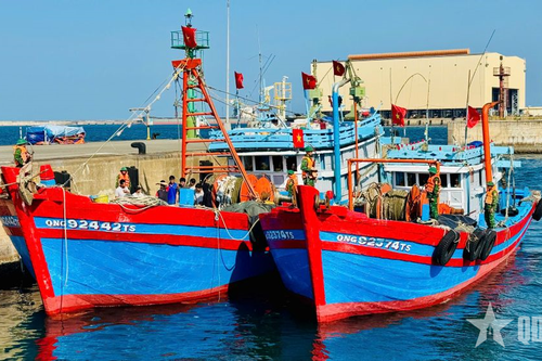 Bắt giữ 3 tàu cá đánh bắt hải sản sai quy định