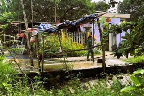 Bất an với lò mổ tại gia!
