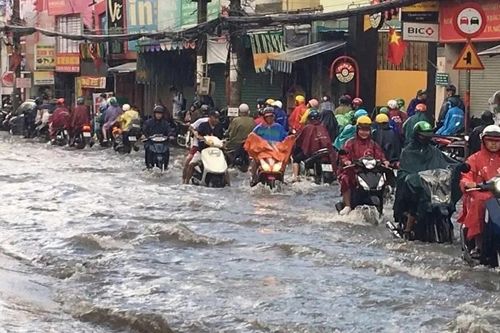 TPHCM: Khẩn trương sửa chữa hạ tầng, đảm bảo an toàn mùa mưa bão