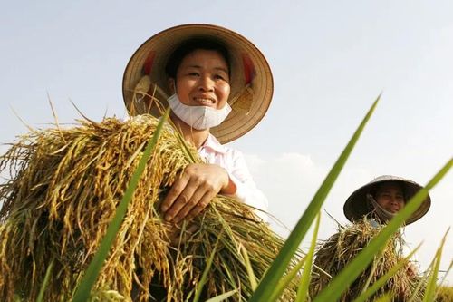 Vốn điều lệ Quỹ Hỗ trợ nông dân Trung ương giai đoạn 2026-2030 là 2.000 tỷ đồng