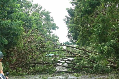 Hà Nội sắp xếp lại công tác phòng chống thiên tai theo mô hình hành chính mới