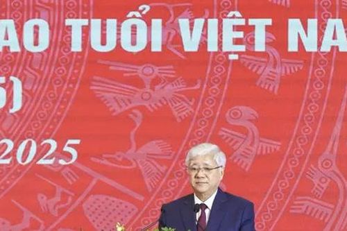 Hội Người cao tuổi Việt Nam cần chủ động sắp xếp, kiện toàn, tinh gọn tổ chức