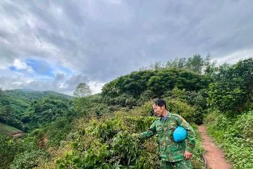 Người mở lối chuyên canh cây ăn quả ở vùng biên, nâng thu nhập cho nông dân