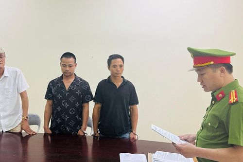 Bắt tạm giam cán bộ hải quan ở Lào Cai vì phá rừng