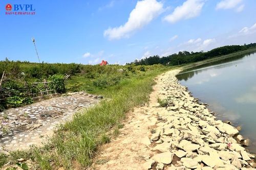 Công bố tình huống khẩn cấp sự cố sạt lở đê hữu sông Chu
