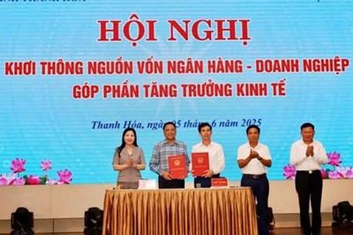 Nguồn vốn ngân hàng dồi dào nhưng doanh nghiệp khó khăn trong tiếp cận tín dụng