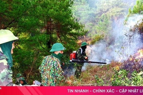 Chủ động từng chi tiết, quyết liệt từng hành động để ngăn 'giặc lửa'