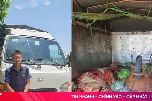 Chở 1,1 tấn da, lòng, mỡ động vật bẩn từ Hà Tĩnh ra Nghệ An tiêu thụ