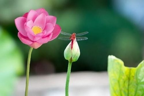 Mọi sự rồi sẽ ổn