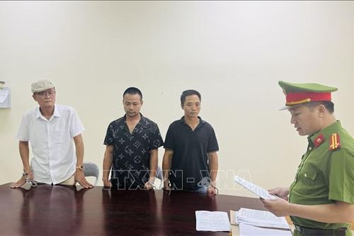Bắt tạm giam 4 đối tượng vi phạm quy định về quản lý, khai thác, bảo vệ rừng và lâm sản