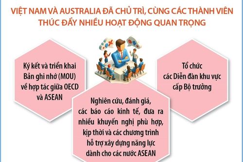Việt Nam hoàn thành vai trò Đồng Chủ tịch Chương trình Đông Nam Á (SEARP) giai đoạn 2022 - 2025