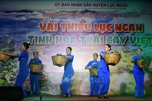 Vải thiều Lục Ngạn - Tinh hoa trái cây Việt