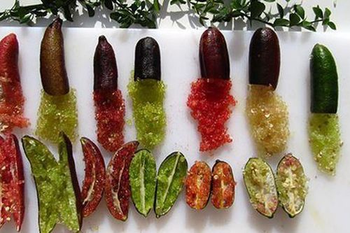 Loại quả bé như ngón tay 'đắt nhất thế giới', giá lên tới 3 triệu đồng/kg