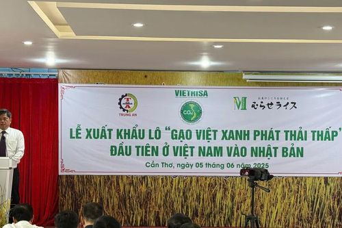 Gạo Việt phát thải thấp lần đầu đi Nhật Bản