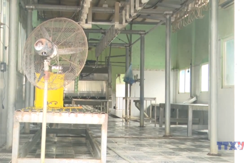 Xác định về việc đóng dấu kiểm dịch sai quy định