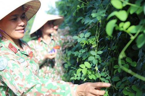 Đội Công binh số 3 giúp người dân Abyei nâng cao nhận thức và cải thiện đời sống