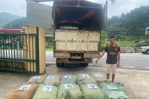 Thu giữ hơn 1 tấn nguyên liệu thuốc lá tại Cao Bằng