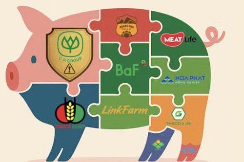 Toàn cảnh ngành chăn nuôi trong nước: C.P. giữ ngôi đầu khối FDI, Dabaco, Masan MEATLife... có nhiều dư địa bứt phá