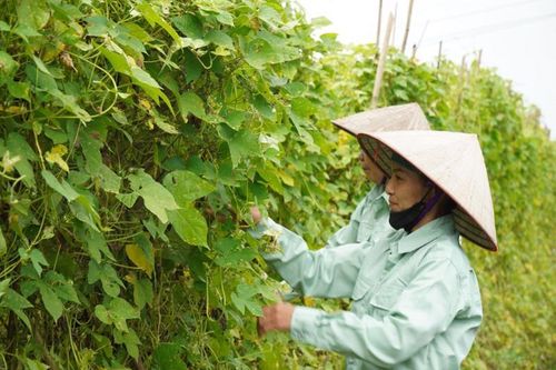 Chương trình CSI 2025: Khuyến khích doanh nghiệp đi từ 'tuân thủ' lên 'đổi mới sáng tạo' trong kinh doanh bền vững