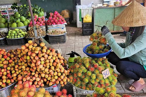 'Bản giao hưởng' trái cây mùa hạ