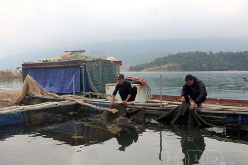 Chủ động bảo vệ thủy sản trước mùa mưa bão