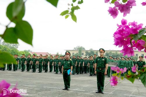 Tiếp nhận, quản lý và huấn luyện lực lượng dự bị động viên