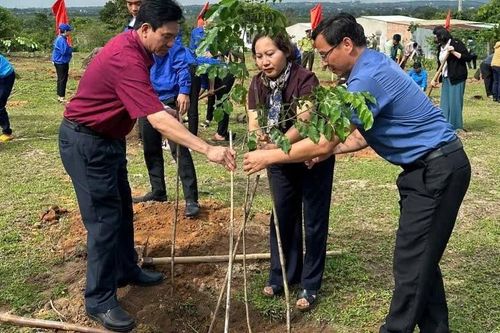 Trồng gần 300 cây xanh tại lễ phát động trồng cây 'Đời đời nhớ ơn Bác Hồ'