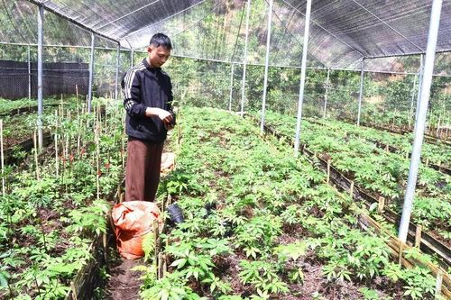 Nâng cao chất lượng nguồn lao động