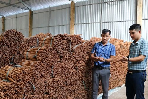 Bảo Yên lồng ghép, sử dụng hiệu quả nguồn lực đầu tư cho công tác giảm nghèo