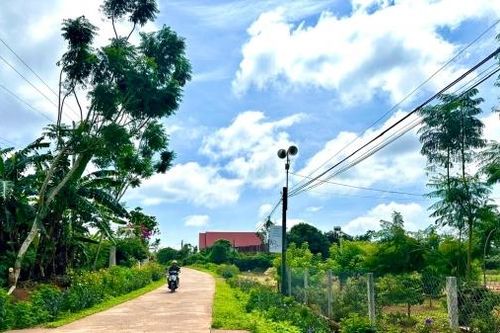 Phụ nữ Đinh Lạc chung tay xây dựng nông thôn mới