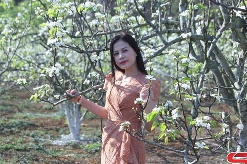 Du lịch sinh thái từ vùng cây ăn quả