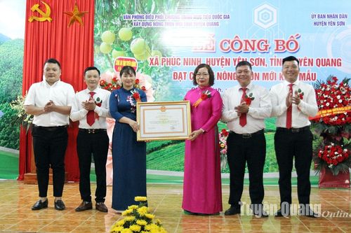 Xã Phúc Ninh đạt chuẩn nông thôn mới kiểu mẫu