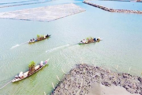 Nâng cấp các tuyến đê phục vụ sản xuất