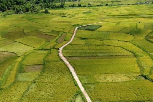Miền Tây Thanh Hóa đẹp mê hồn giữa núi rừng, thác đổ và mùa vàng