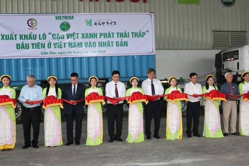 Việt Nam lần đầu xuất khẩu gạo phát thải thấp sang Nhật Bản: Bước tiến quan trọng hướng tới nông nghiệp bền vững