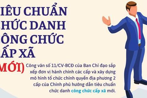 Công chức cấp xã từ trình độ đại học trở lên, tiêu chuẩn công chức cấp xã mới