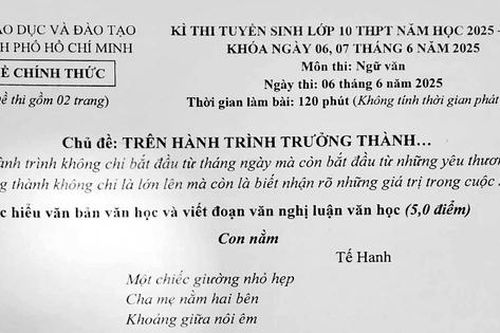 Đề thi, gợi ý đáp án Ngữ văn thi vào lớp 10