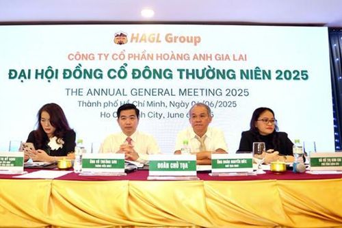 Hoàng Anh Gia Lai (HAG) đặt mục tiêu lợi nhuận ngàn tỷ năm thứ tư liên tiếp, lên kế hoạch trồng dâu nuôi tằm và cà phê Arabica