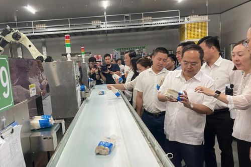 Bí thư Tỉnh ủy Quản Minh Cường khảo sát một số doanh nghiệp tại Quảng Tây (Trung Quốc)