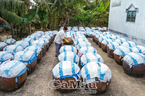 Giữ nghề làm nước mắm